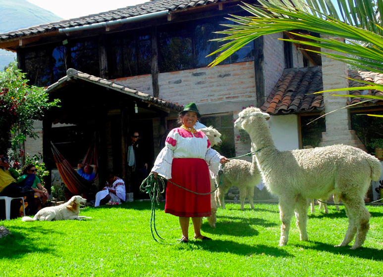 San Clement woman and alpaca